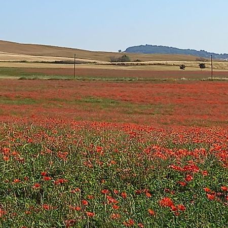 Appartamento Con Vista Panoramica Pienza Eksteriør billede