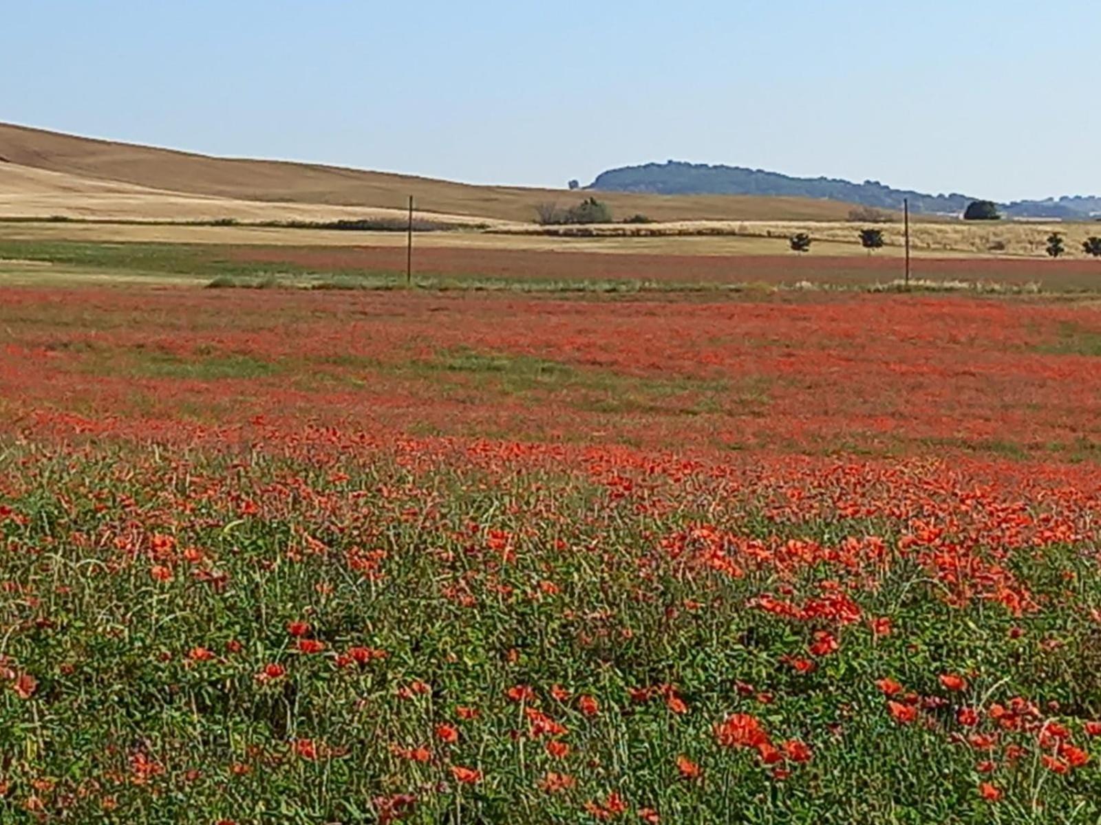 Appartamento Con Vista Panoramica Pienza Eksteriør billede
